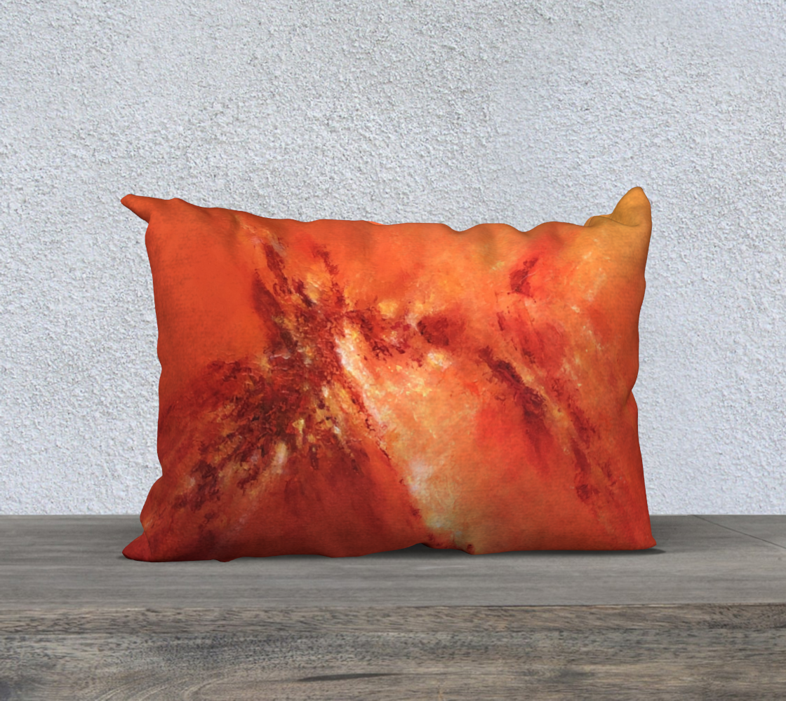 Illumination Housse 20x14