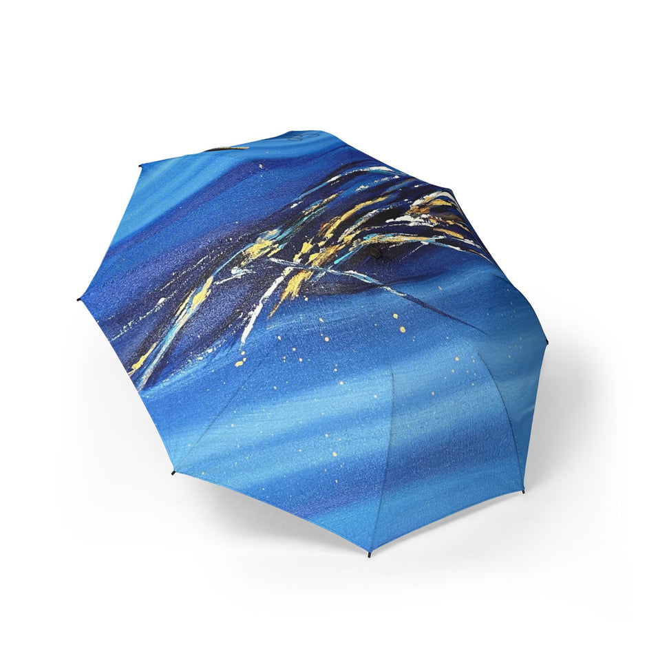 Parapluie Modèle: Trésor caché